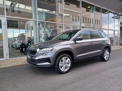 Skoda Karoq Tageszulassung