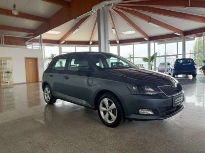 Skoda Fabia Gebrauchtwagen