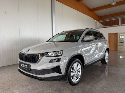 Skoda Karoq Gebrauchtwagen