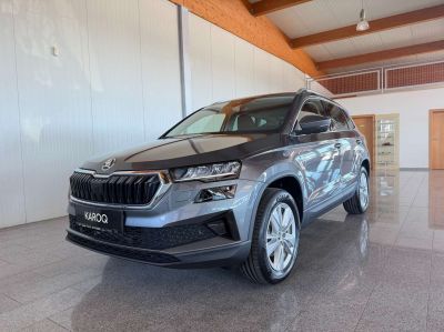 Skoda Karoq Vorführwagen