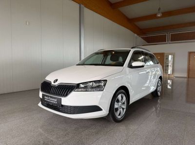 Skoda Fabia Gebrauchtwagen