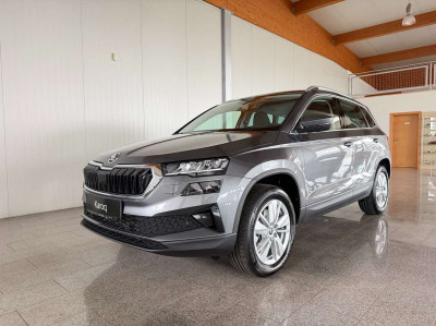 Skoda Karoq Tageszulassung