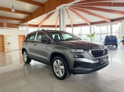 Skoda Karoq Tageszulassung