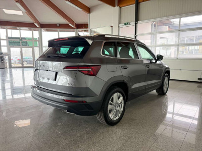 Skoda Karoq Tageszulassung