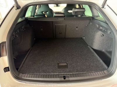 Skoda Octavia Tageszulassung Skoda Octavia Tageszulassung