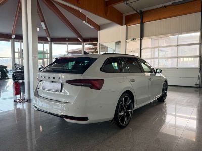 Skoda Octavia Tageszulassung Skoda Octavia Tageszulassung