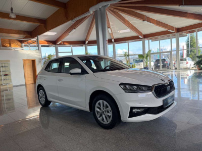 Skoda Fabia Neuwagen