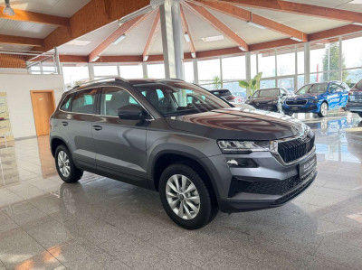 Skoda Karoq Tageszulassung