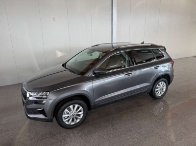 Skoda Karoq Tageszulassung