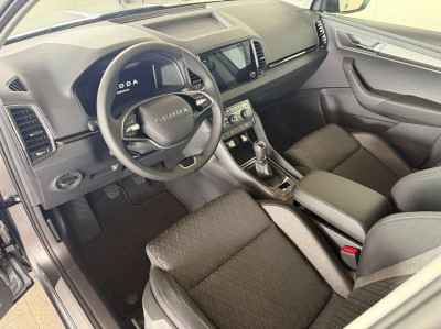 Skoda Karoq Tageszulassung