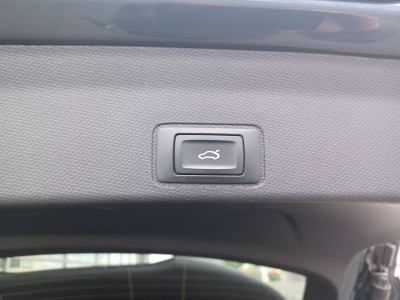 Cupra Terramar Gebrauchtwagen Cupra Terramar Gebrauchtwagen