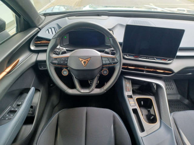 Cupra Terramar Gebrauchtwagen Cupra Terramar Gebrauchtwagen