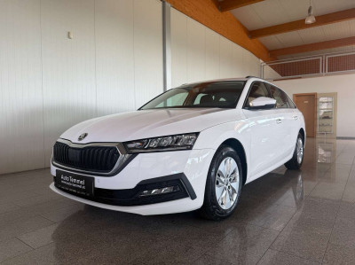 Skoda Octavia Gebrauchtwagen Skoda Octavia Gebrauchtwagen
