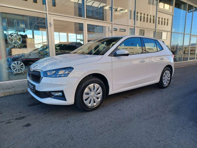Skoda Fabia Tageszulassung