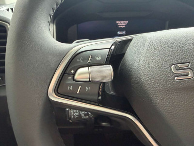 Skoda Karoq Tageszulassung Skoda Karoq Tageszulassung