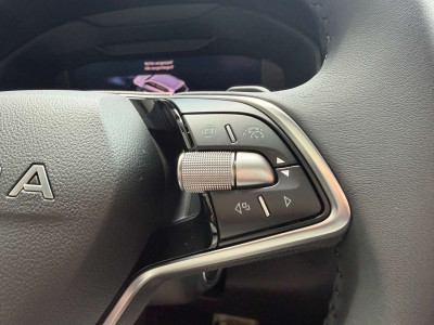 Skoda Karoq Tageszulassung Skoda Karoq Tageszulassung