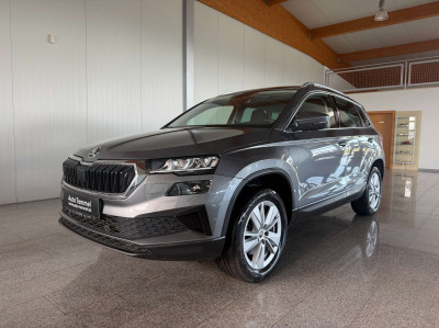 Skoda Karoq Gebrauchtwagen Skoda Karoq Gebrauchtwagen