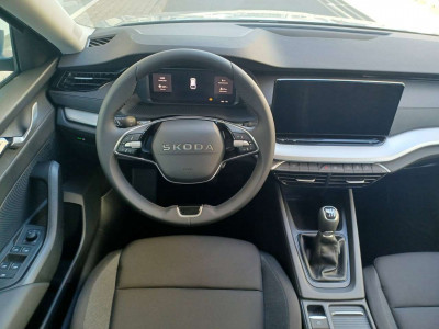 Skoda Octavia Neuwagen Skoda Octavia Neuwagen