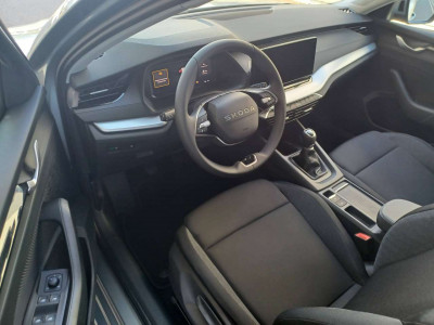 Skoda Octavia Neuwagen Skoda Octavia Neuwagen