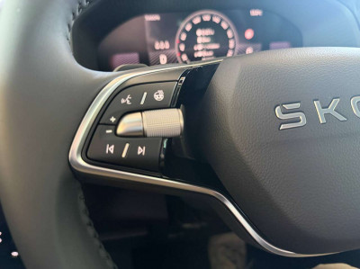 Skoda Karoq Gebrauchtwagen Skoda Karoq Gebrauchtwagen