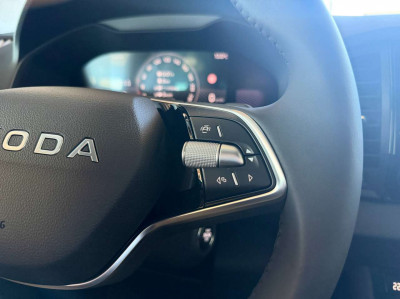 Skoda Karoq Gebrauchtwagen Skoda Karoq Gebrauchtwagen