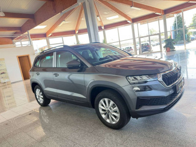 Skoda Karoq Gebrauchtwagen Skoda Karoq Gebrauchtwagen
