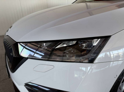 Skoda Octavia Gebrauchtwagen Skoda Octavia Gebrauchtwagen