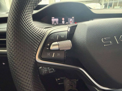 Skoda Elroq Vorführwagen Skoda Elroq Vorführwagen