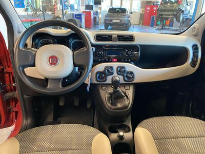 Fiat Panda Gebrauchtwagen