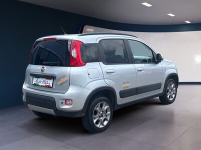 Fiat Panda Gebrauchtwagen Fiat Panda Gebrauchtwagen