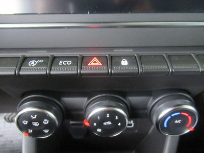 Renault Clio Vorführwagen