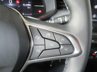 Renault Clio Tageszulassung