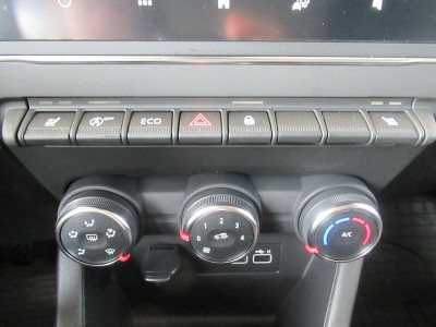 Renault Clio Tageszulassung