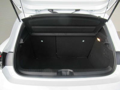 Renault Clio Vorführwagen
