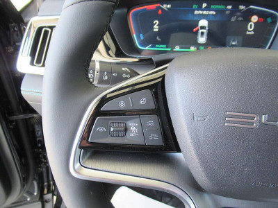 BYD Seal U Gebrauchtwagen