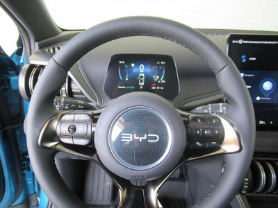 BYD Atto 3 Gebrauchtwagen