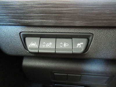 Renault Kangoo Gebrauchtwagen