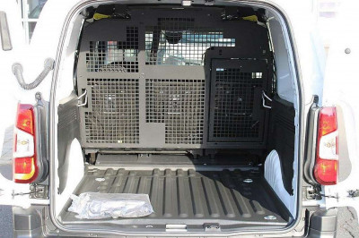 Fiat Doblo Tageszulassung