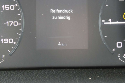 Fiat Ducato Gebrauchtwagen