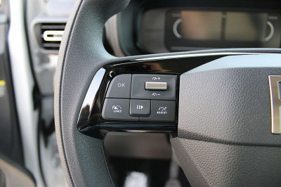 Fiat Doblo Gebrauchtwagen