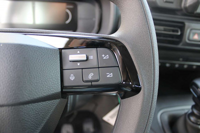 Fiat Doblo Gebrauchtwagen