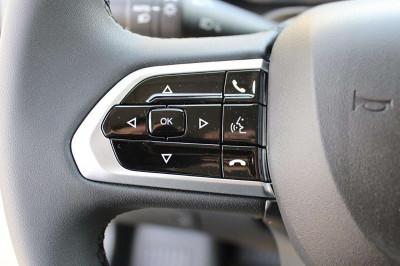 Fiat Ducato Tageszulassung