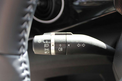 BYD Dolphin Neuwagen BYD Dolphin Neuwagen