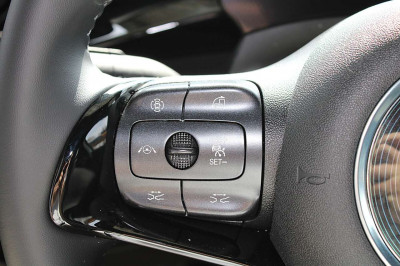 BYD Dolphin Neuwagen