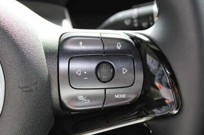 BYD Dolphin Neuwagen