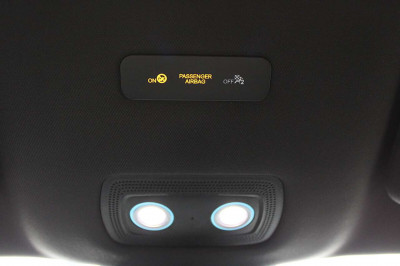 BYD Dolphin Neuwagen