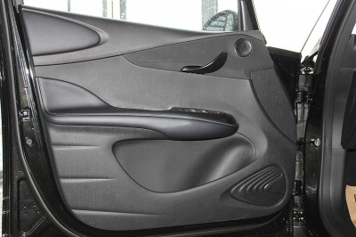 BYD Dolphin Neuwagen