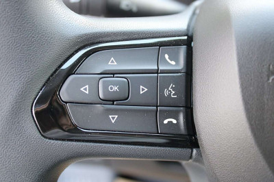 Fiat Ducato Tageszulassung