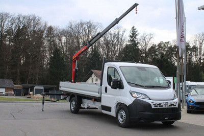 Fiat Ducato Tageszulassung