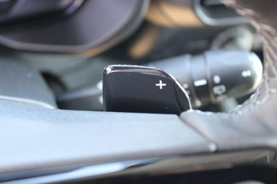 Fiat Doblo Tageszulassung